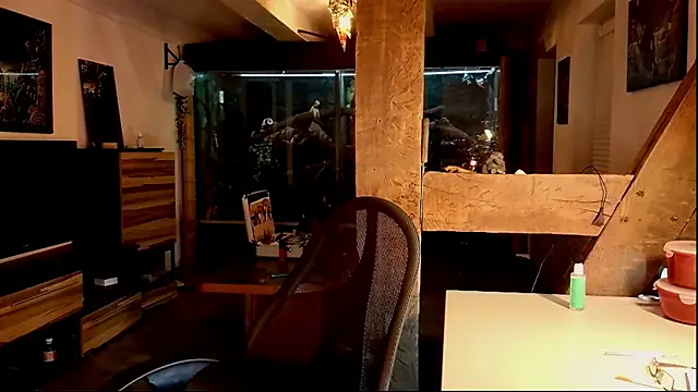 Snapshot of DYasmin69 chatting on November 1, 8:55 pm DYasmin69 online show from November 1, 8:55 pm