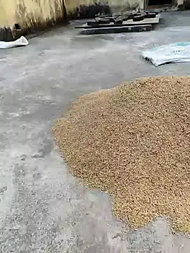 Snapshot of sweet_suman chatting on January 18, 11:21 am sweet suman online show from January 18, 11:21 am