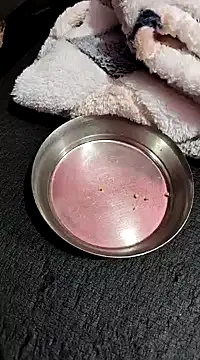 Snapshot of Whitehouse01 chatting on January 13, 2:42 pm Whitehouse01 online show from January 13, 2:42 pm