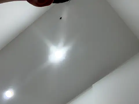 Snapshot of Sexocokin chatting on December 16, 1:16 pm Sexocokin online show from December 16, 1:16 pm