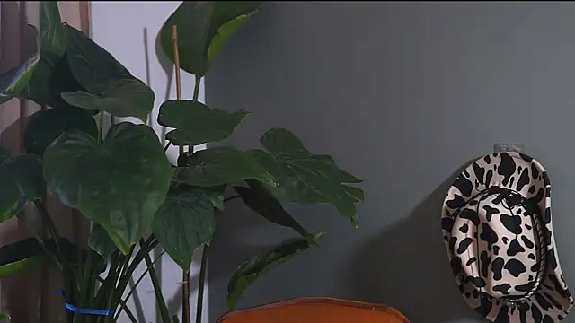 HairyRobxxx online show from September 20, 10:05 am