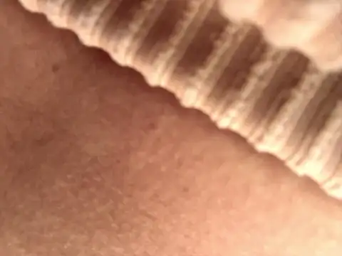 BELLA--26 online show from September 17, 1:46 pm