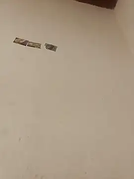 boobsTaylor online show from October 3, 7:05 am