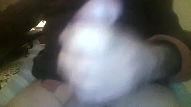 Snapshot of Patrickhound chatting on November 19, 3:39 am Patrickhound online show from November 19, 3:39 am