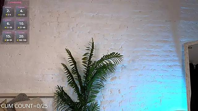 Aurora First online show from February 4, 5:34 pm