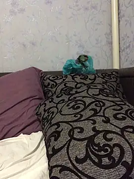 VikiiStoun online show from September 19, 6:08 pm