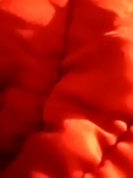 Snapshot of aiandru chatting on March 13, 7:39 pm aiandru online show from March 13, 7:39 pm