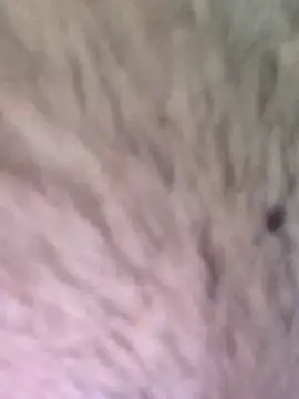 Snapshot of TOPMOON001 chatting on March 7, 6:24 am TOPMOON001 online show from March 7, 6:24 am