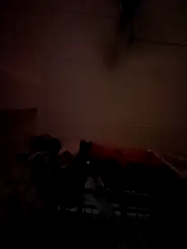 opkiller901 online show from January 12, 10:01 pm