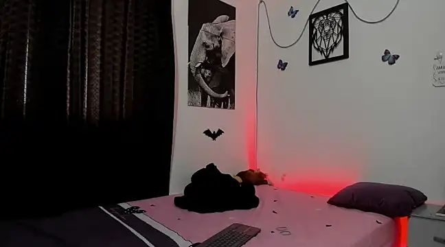 Snapshot of maxi_styles chatting on January 17, 10:12 pm maxi styles online show from January 17, 10:12 pm