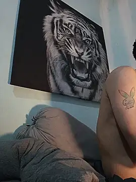 dany hardy online show from January 16, 11:31 pm