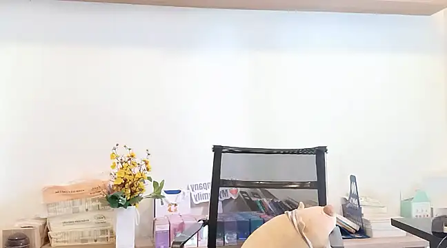 Snapshot of Lush-Office chatting on March 12, 7:57 am Lush-Office online show from March 12, 7:57 am