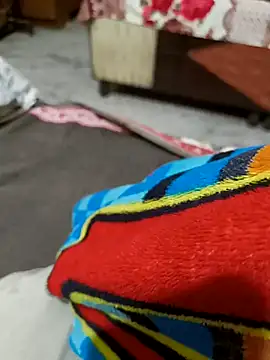 kaif 220 online show from January 13, 1:17 pm