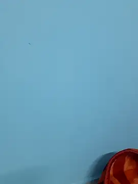 Divya-2007 online show from February 7, 12:06 pm