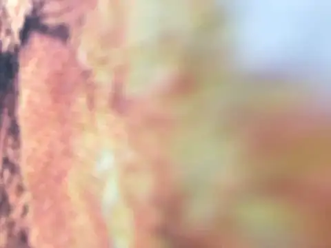 Snapshot of riri_riri_jp chatting on December 16, 10:09 am riri riri jp online show from December 16, 10:09 am