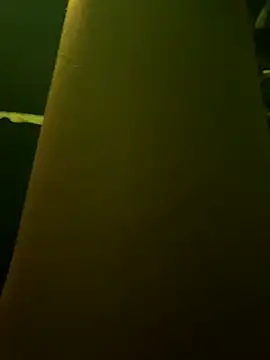 Snapshot of DanteAndKyle chatting on January 25, 4:13 am DanteAndKyle online show from January 25, 4:13 am