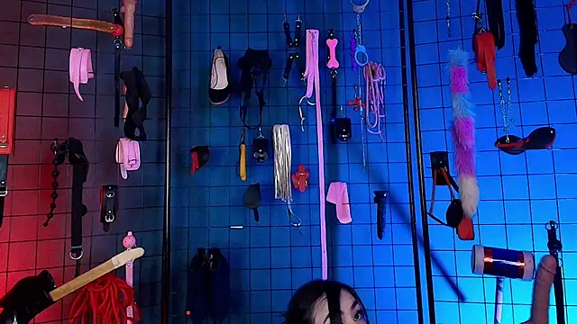 Snapshot of lucy_queensss chatting on December 4, 9:12 pm lucy queensss online show from December 4, 9:12 pm