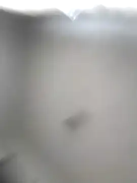 Snapshot of Godessofpleasxa chatting on December 16, 8:19 am Godessofpleasxa online show from December 16, 8:19 am