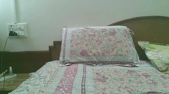 Snapshot of great_nam_par chatting on January 25, 5:29 am great nam par online show from January 25, 5:29 am