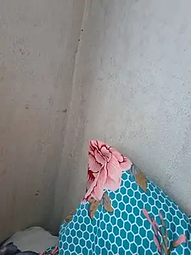 novinhatransexy online show from November 3, 5:25 pm