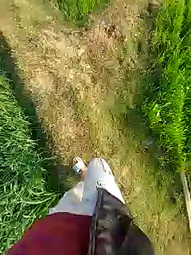 Snapshot of Extrembox5 chatting on January 26, 3:17 am Extrembox5 online show from January 26, 3:17 am