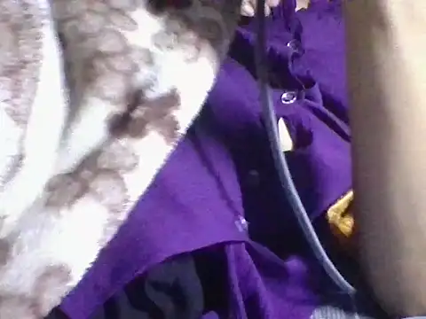 Snapshot of AKANSHA_7 chatting on November 1, 4:53 pm AKANSHA 7 online show from November 1, 4:53 pm