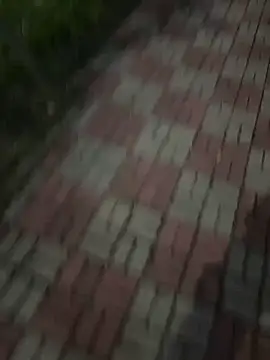 Phil 6677 online show from October 12, 6:51 pm