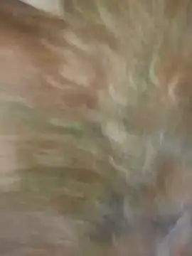 Santiago-Thompson online show from January 26, 8:23 pm