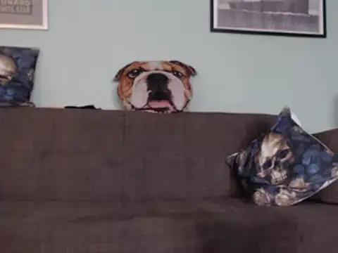 Snapshot of Astrid-Gilbert chatting on February 5, 11:12 am Astrid-Gilbert online show from February 5, 11:12 am