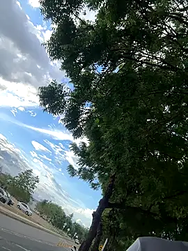 Snapshot of arevalo1124 chatting on November 26, 9:27 pm arevalo1124 online show from November 26, 9:27 pm