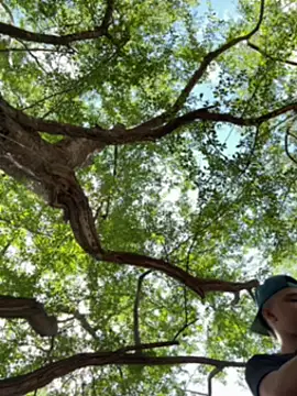 Snapshot of arevalo1124 chatting on December 5, 3:52 pm arevalo1124 online show from December 5, 3:52 pm