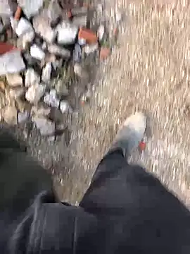 66MA69 online show from January 31, 5:32 pm