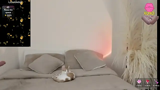 Sammy-Jhonson online show from March 29, 11:05 pm