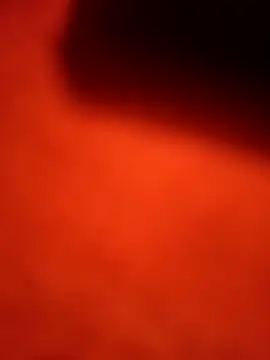 dominationmybigdick online show from September 22, 11:45 am