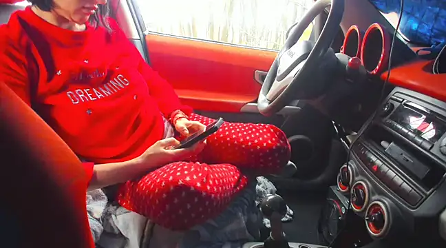 Fairy outdoor online show from March 2, 11:18 am