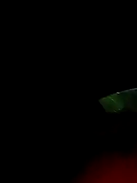 ginger 1 1 online show from March 18, 12:38 am