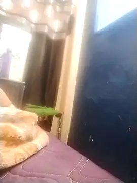 Snapshot of neha007-K chatting on March 10, 7:18 pm neha007-K online show from March 10, 7:18 pm