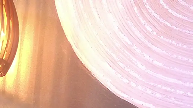 lissa palmer online show from November 30, 3:10 am