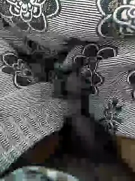 Tamil small cock online show from March 5, 10:00 am