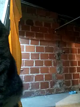 PECHO100 online show from March 3, 3:08 am