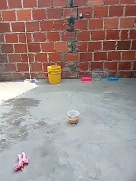 PECHO100 online show from March 6, 7:32 pm