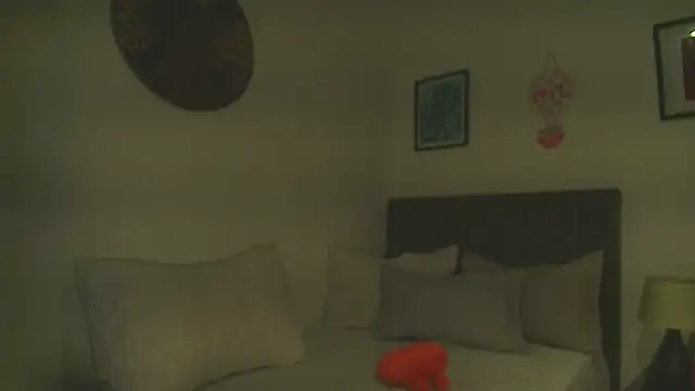 Dhalila  online show from February 23, 1:30 pm