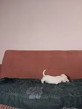 Jehan Soto online show from September 9, 5:12 pm