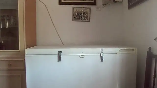 llopaco online show from September 12, 10:37 am