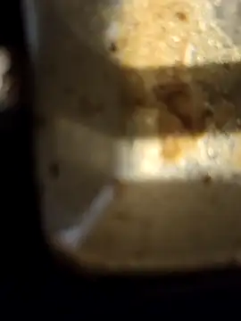 Loly2025 online show from February 20, 2:35 pm