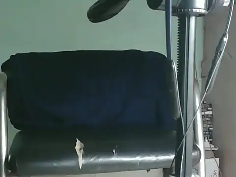 Snapshot of PreetyKitten chatting on November 8, 1:55 pm PreetyKitten online show from November 8, 1:55 pm