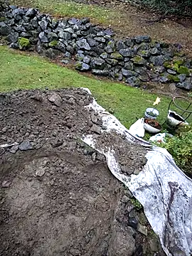 Snapshot of KingSlim56 chatting on November 15, 8:16 pm KingSlim56 online show from November 15, 8:16 pm