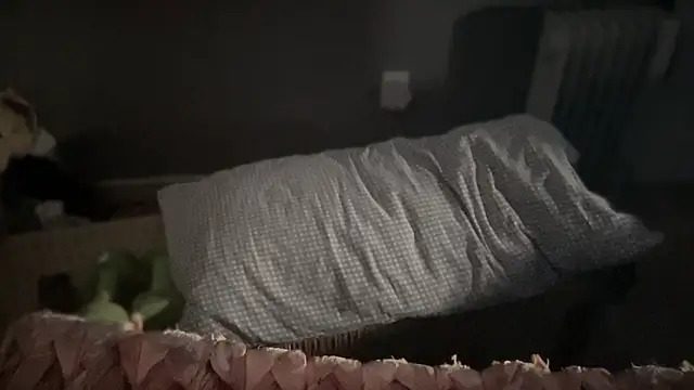 DominantDong online show from March 9, 11:56 pm