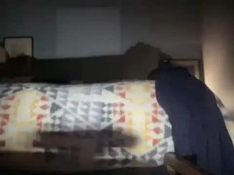 DominantDong online show from December 20, 11:28 am