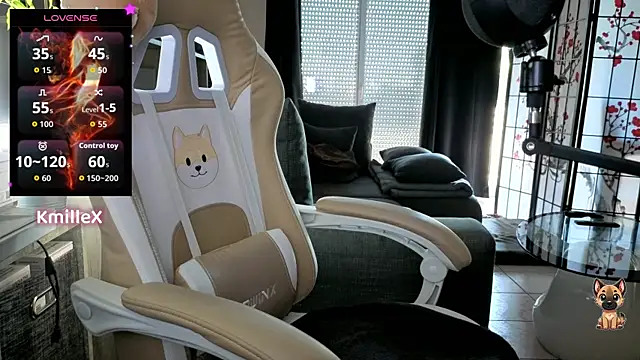 Snapshot of KmilleX chatting on November 4, 10:36 am KmilleX online show from November 4, 10:36 am